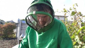 Подсадка матки пчелам в клеточке Осенью. Замена маток