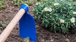 Как сделать клумбу без сорняков