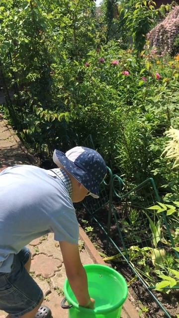 Ловим Жуков! Плавающие «Аленки» Catching of the green beetles смотреть онлайн