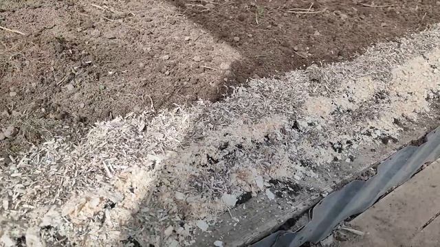 214. Укроп ВЗОЙДЕТ БЫСТРО! Несколько правильных шагов, д смотреть онлайн