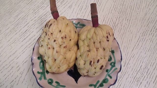 Шишки магнолии ... смотреть онлайн