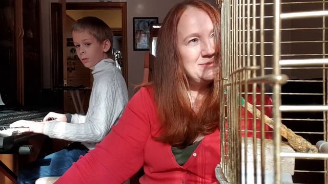 Птичка и почка смотреть онлайн