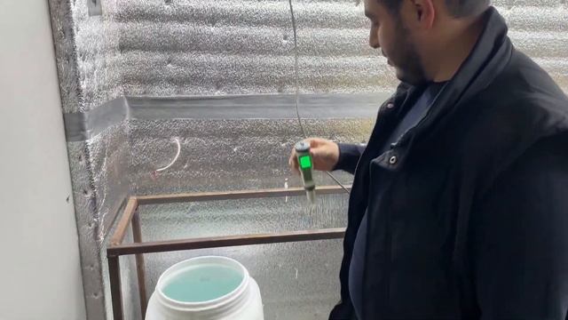 Питательный раствор для выгонки тюльпанов смотреть онлайн