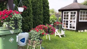 ЖИЗНЬ НА ДАЧЕ . ОБЗОР САДА  20 ИЮЛЯ 2025