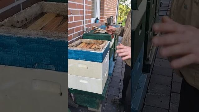 простой отводок для начинающих смотреть онлайн