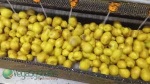 Машина для мойки и очистки корнеплодов: картофель, мор