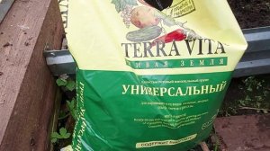 Посадка томатов в теплицу.