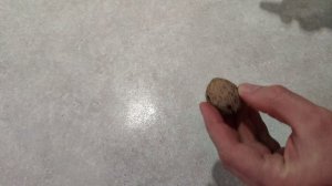 Грецкий орех. Сбор урожая.