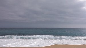 Что будут исцелять листья Дерева Жизни?