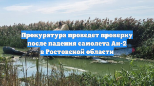 Прокуратура проведет проверку после падения самолета Ан-2 в Ростовской области