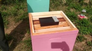 Сироп для пчел в кормушках