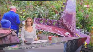 Из озера на Камчатке достали самолет "Кингкобра", участвовавший в Курильской десантной операции