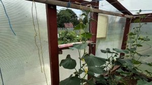 Мои летние каникулы Николаевск-на-Амуре Дачная жизнь ?