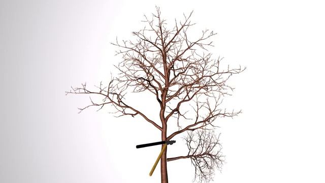 Обрезка фруктовых деревьев :: Мини инструкция - 5 смотреть онлайн