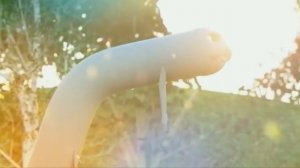 ТОП 10 ПАРОДИЙ ПРО УЖАСЫ ПАРОВОЗИКА ТОМАСА НА ПЧЕЛОВО?