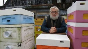 падь в меду и возможная гибель пчел - сироп для подстра