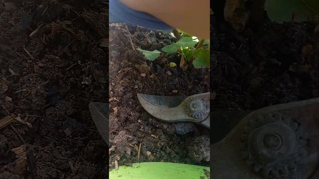 #Ирга смотреть онлайн