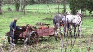 навозорасбрасыватель