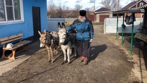 Мальчик и Орлик