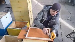Натяжка Проволки На Рамку Дадан 300