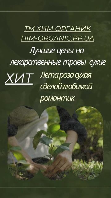 ТМ «Хим Органик»: Здоровая Жизнь с Лечебными Травами смотреть онлайн