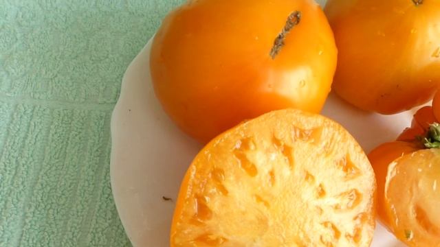 Вкуснейшие томаты Гигант МБ Гиг яблоко Голубой Казах? смотреть онлайн