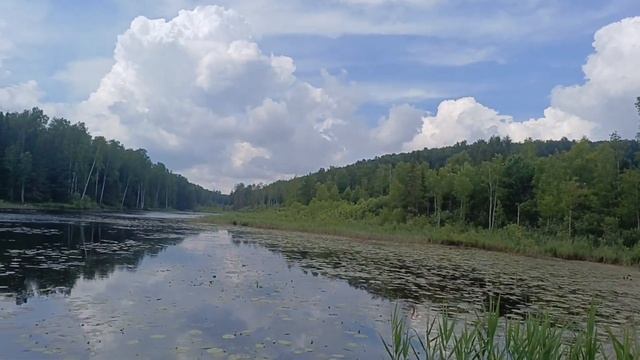 54.Почему моя мама не ездит на огород?🍀 смотреть онлайн