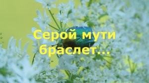 Серой мути браслет