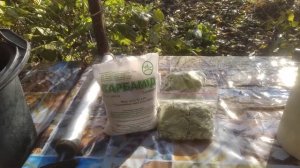 ИСКОРЕНЯЮЩАЯ ОБРАБОТКА САДА ОСЕНЬЮ)))