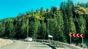 Алтай. Пожар на телецком озере. Лунные и марсовые поля.