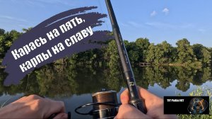 Карась на пять, карпы на славу...