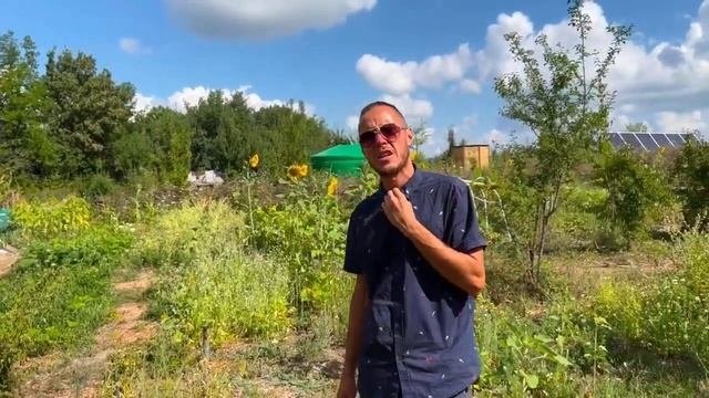 Пермакультурный огород на целине, результаты первого