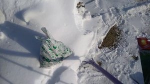 Посев укропа на снежную грядку.2 способа.Эксперимент