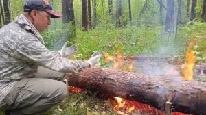 Как сделать костёр нодья из трёх брёвен КАК ПРИГОТОВИ?