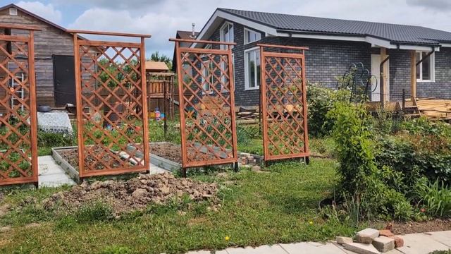 Сад 3 июня. Набирают бутоны розы, ирисы . Цветет гвоздик смотреть онлайн