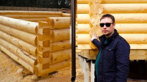 Что такое сруб? Виды дерева для сруба, сборка в чашу и л