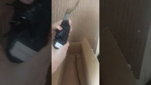 Отличные саженцы, мой отзыв о питомнике Росток