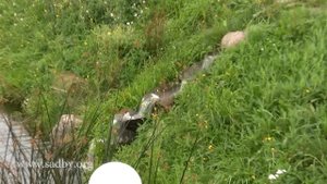 Очистка и аэрация пруда своими руками. Система водопа?