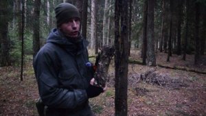ТОП 10 лайфхаков для разведения костра в сыром лесу