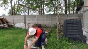 Как выращивать цветы Настурция