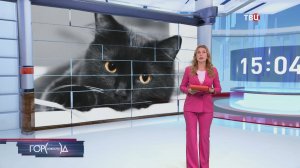 На юге Москвы спасли застрявшую в радиаторе кошку / Город новостей на ТВЦ
