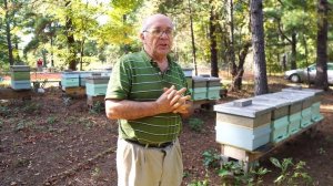 Пасека #101 Особый Принцип Подготовки Пчёл  к Зиме Пчело