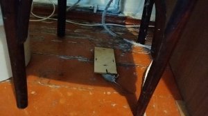 мышеловка пашет)