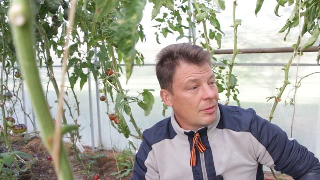 никакой фитофторы, без всякой там триходермы, фитоспо? смотреть онлайн