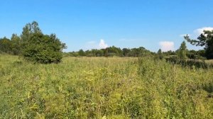 Медосбор 2025