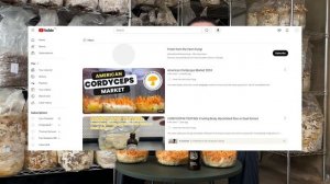 Про кордицепс: основы, выращивание и много чего еще