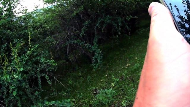 Грибной Рай..ЗАШЛИ В САД,ГЛАЗА РАЗБЕЖАЛИСЬ...В ГОРАХ СА? смотреть онлайн