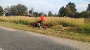 Мотоблок Мтз с прицепной косилкой