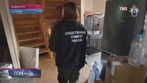 Собственницам подмосковной зоогостиницы для собак избирают меру пресечения / Город новостей на ТВЦ