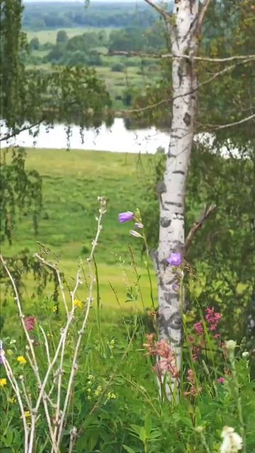 Яркие моменты фестиваля «Ярополч. Возрождение Жизни», а также красота пространства.